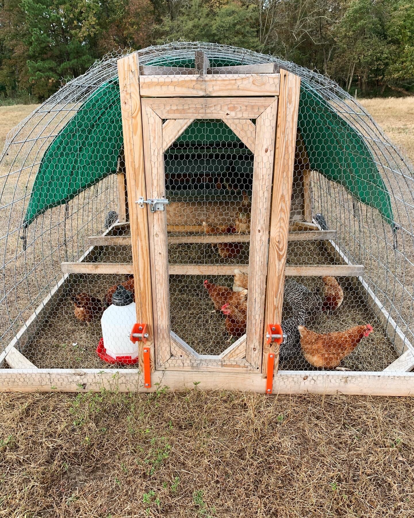 Jeremy+Brooks+-+Laying+Coop Wooden chicken coop with a green tarp roof, featuring a wire mesh enclosure and a secure door, housing several chickens in a grassy field.